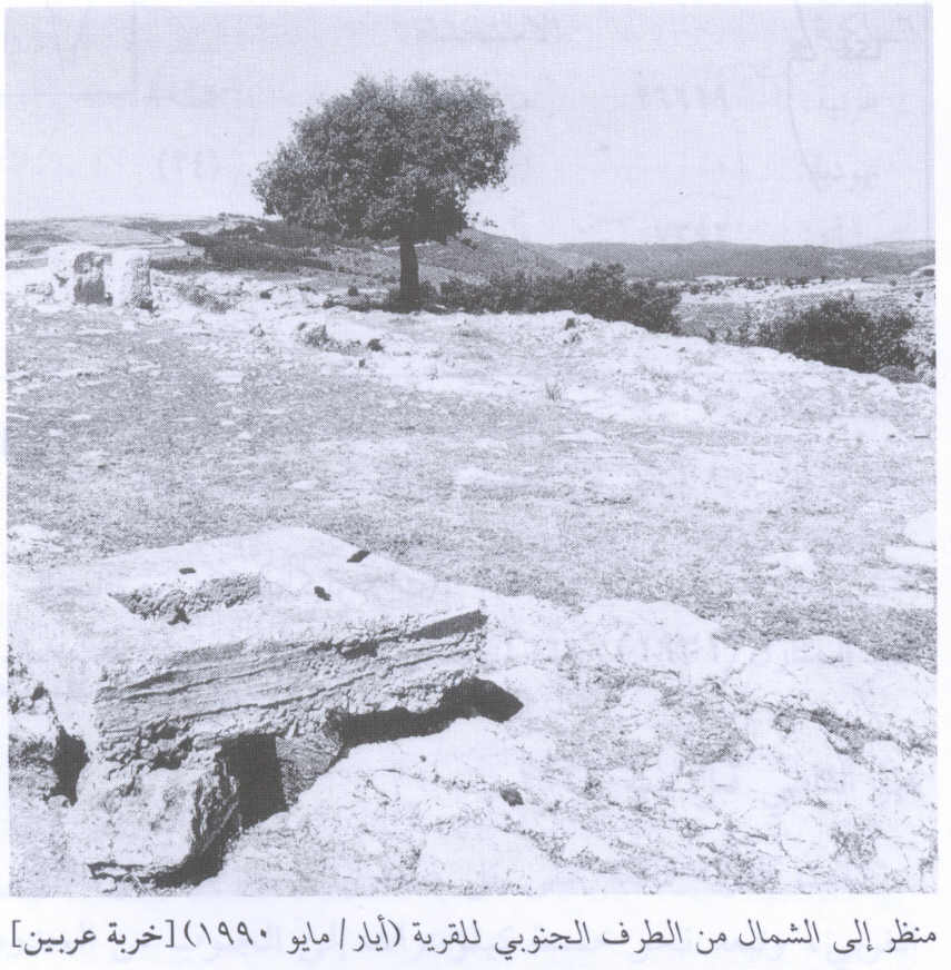 صورة لقرية خربة عربين (القليطات) - فلسطين: : منظر عام لموقع القرية 1990. لاحظ اطلال البيوت المدمرة.