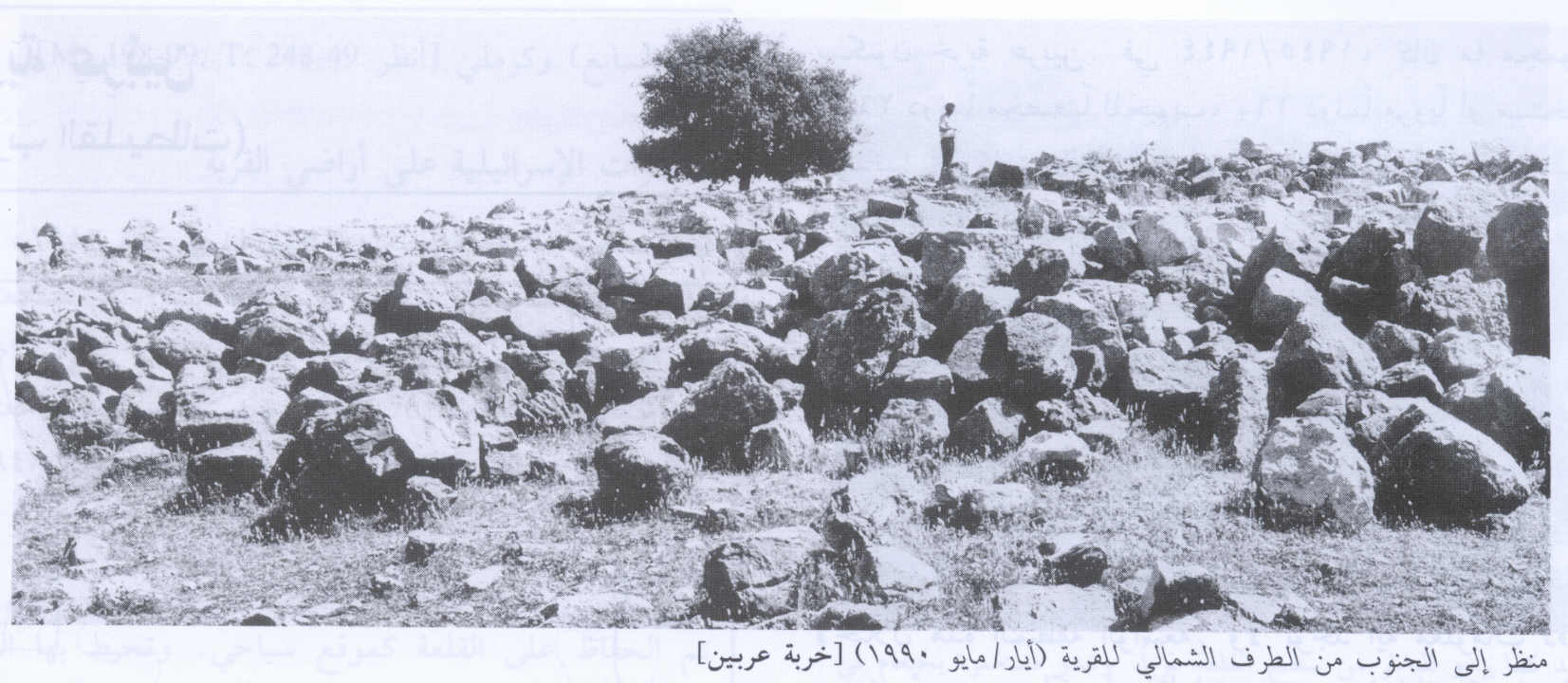 صورة لقرية خربة عربين (القليطات) - فلسطين: : اطلال القرية المدمرة من الحهة الشمالية. هذا ما يشتهر به الاسرائيليون، اُنقر الصورة لتكبيرها. 1990