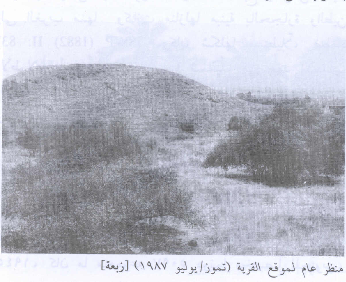 صورة لقرية زبعة - فلسطين: : منظر لموقع القرية التي دمرها الصهاينة وطهروا عرقياً سكانها-1987