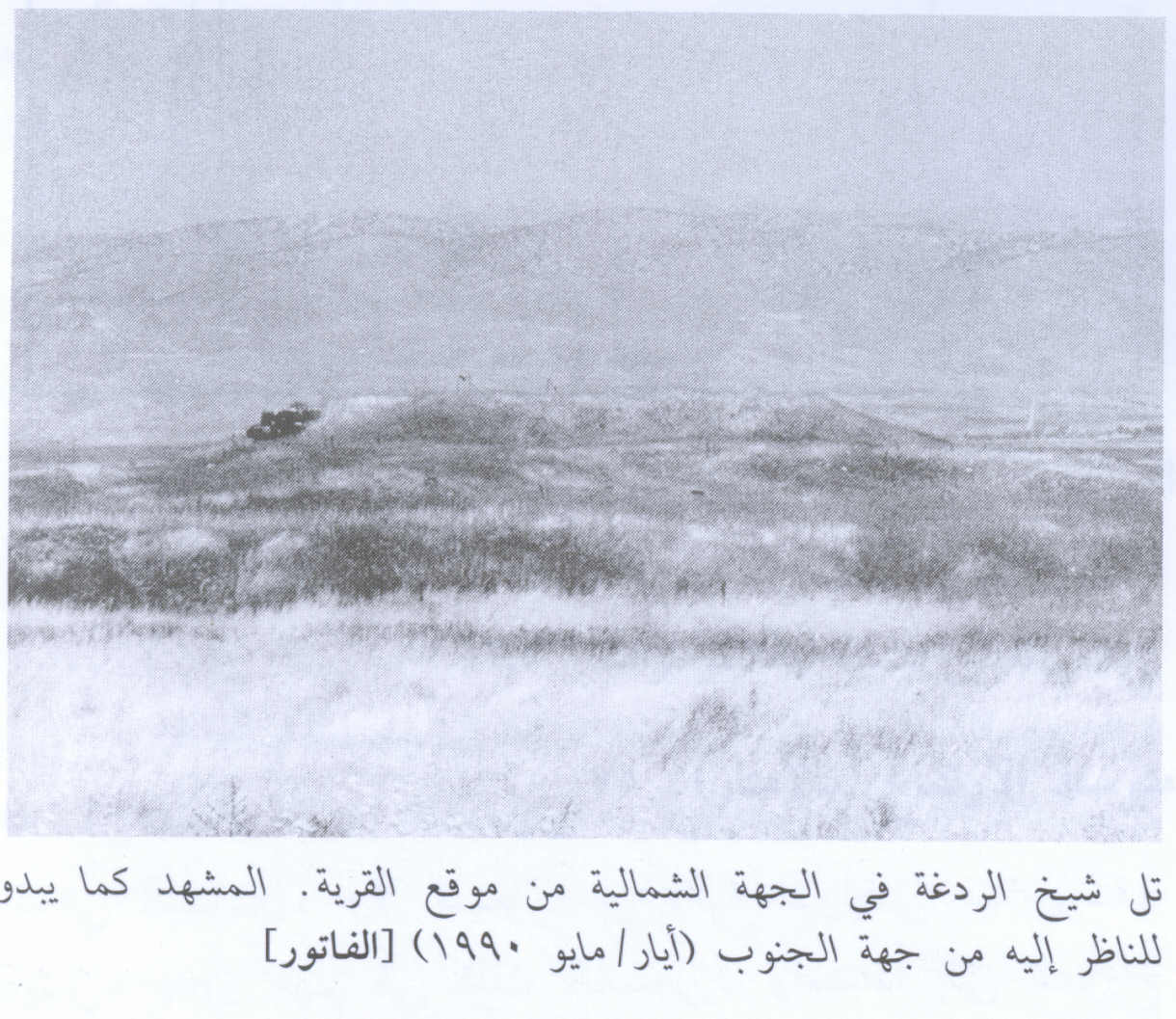 صورة لقرية الفاتور - فلسطين: : صورة لتل الردغة الموجود في الجهة الشمالية من مركز القرية، 1990