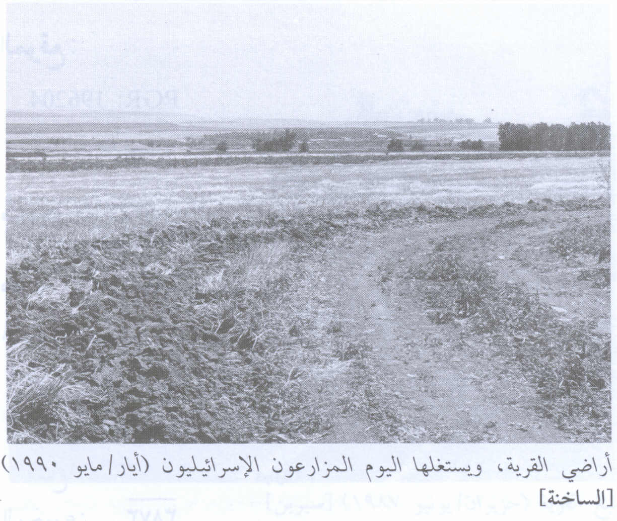 صورة لقرية الساخنه - فلسطين: : منظر عام لأراضي القرية- 1990