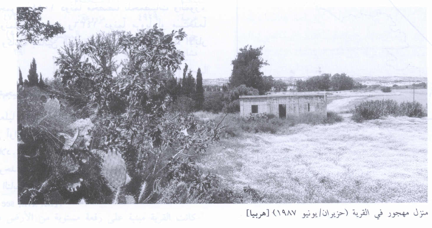 صورة لقرية هربيا - فلسطين: : منزل محمود عطية - 1987