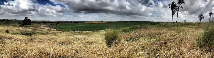 Picture for al-Jaladiyya Village - Palestine: : موقع القريه