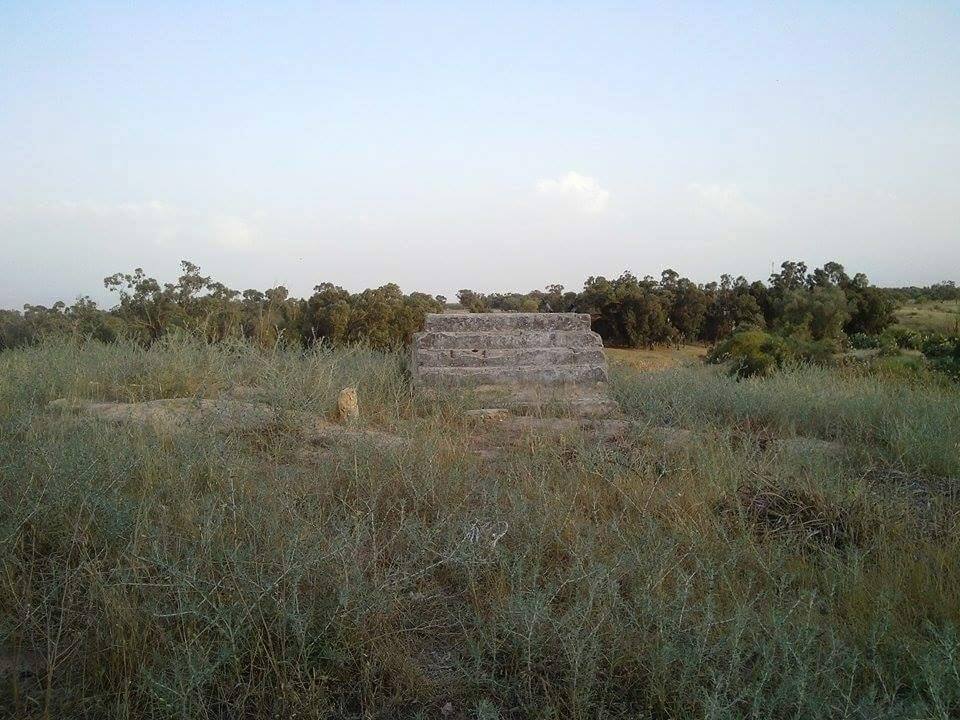 صورة لقرية Abu Muailiq/Hasanat - فلسطين: : صوره من اراضى عشيره حسنات ابو معيلق