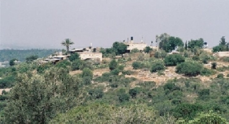 Picture for Dar al-Hannoun Village - Palestine: : قريه دار الحنون