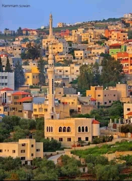 صورة لقرية إماتين‎ - فلسطين: : منظر عام