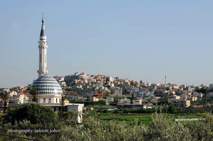 صورة لقرية جتّ - فلسطين: : منظر عام