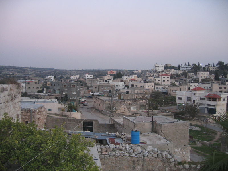 صورة لقرية كفر جمّال - فلسطين: : منظر عام لحي دار علي من وسط البلد بجانب المسجد القديم