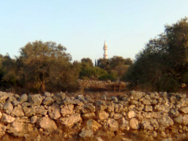 صورة لقرية خربة نزلة زيد - فلسطين: : نزلة زيد من جهة الاحراش التي استشهد بها القسام