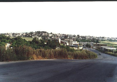 صورة لقرية ذنابة - فلسطين: : ذنابة