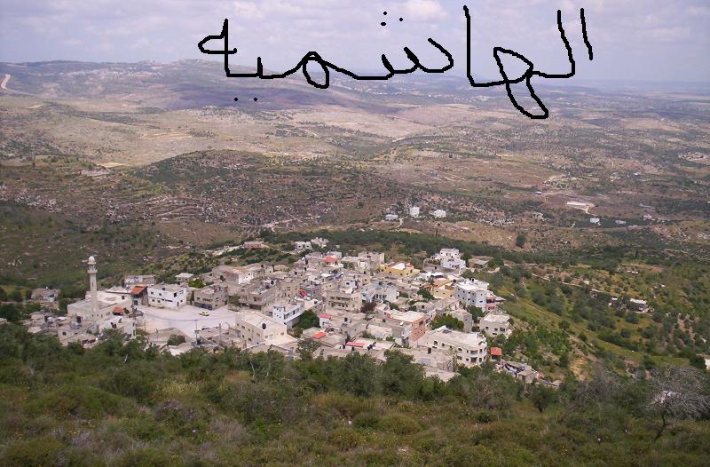 صورة لقرية البارد الهاشمية - فلسطين: : بلدة الهاشمية