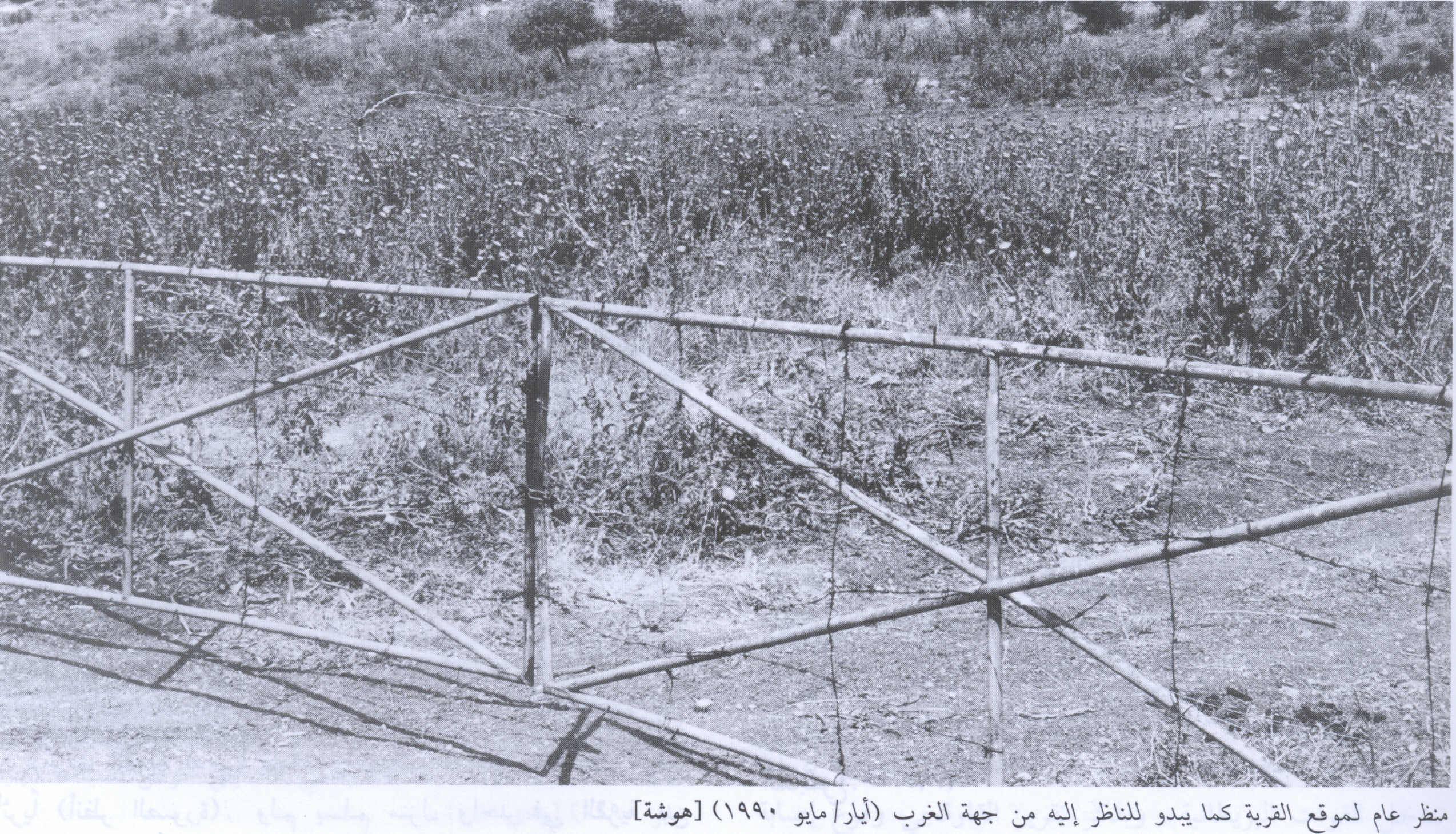 صورة لقرية هوشة - فلسطين: : منظر من الجهة الغربية للقرية التي دمرها الصهاينة وطهروا سكانها عرقياً. 1990