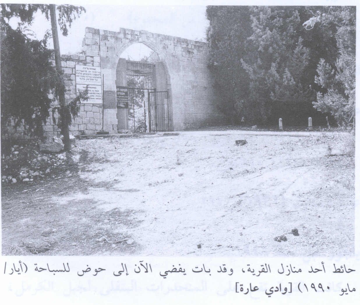 صورة لقرية وادي عارة - فلسطين: : أطلال بيوت القرية المدمرة 1990