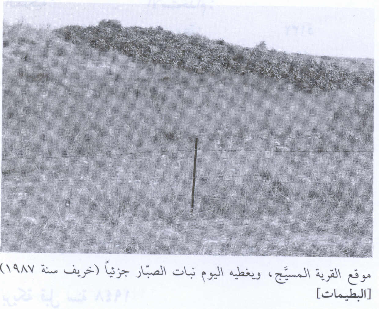 صورة لقرية البطيمات - فلسطين: : منظر لموقع القرية التي دمرها الصهاينة وطهروا سكانها عرقياً. 1987