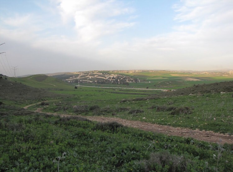 صورة لقرية خربة المنصورة - فلسطين: : منظر بالقرب من القريه