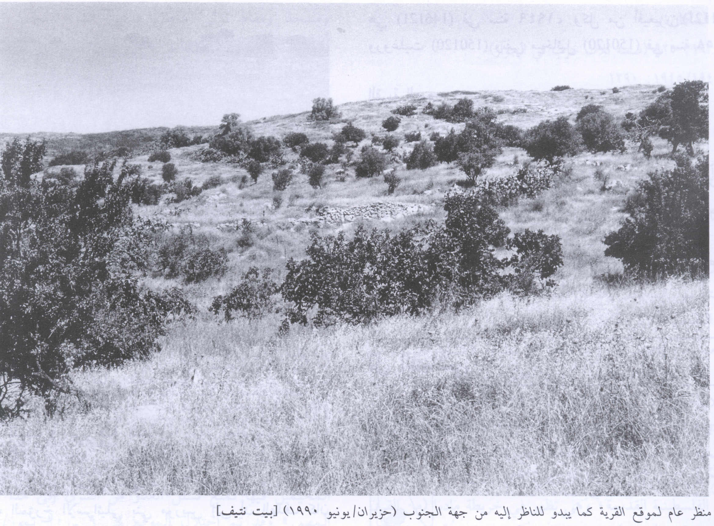 صورة لقرية بيت نتيف - فلسطين: : منظر لموقع القرية من الجهة الجنوبية التي دمرها الصهاينة وطهروا سكانها عرقياً، 1990. أطلال دمار بيوت القرية واضحة، اُنقر الصورة لتكبيرها.