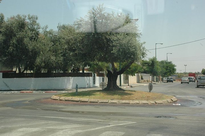 Picture for Saqiya Village - Palestine: : صور حديثة لقرية الساقية - يافا