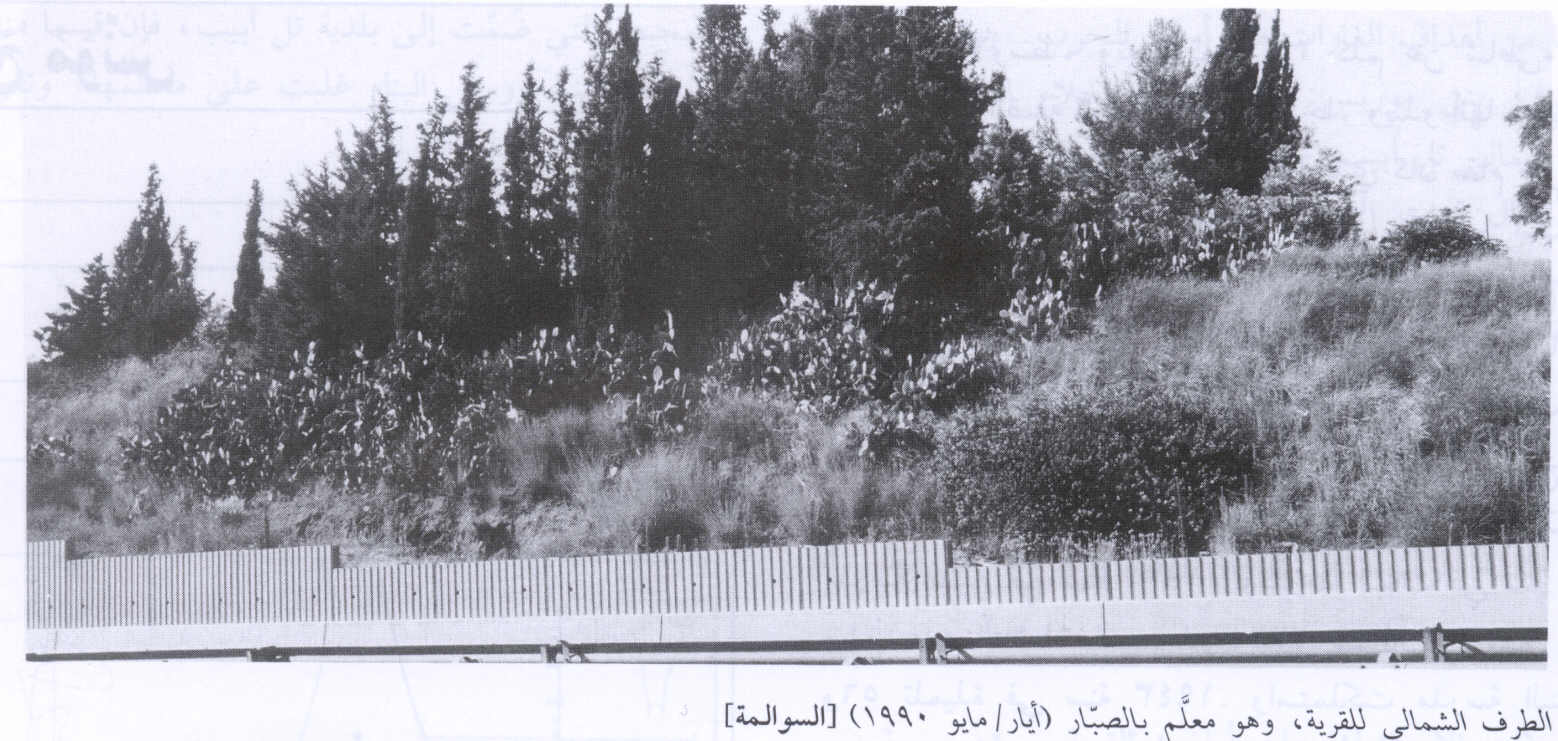 صورة لقرية السوالمة - فلسطين: : منظر للجهة الشمالية للقرية التي دمرها الصهاينة وطهروا سكانها عرقيا #2. 1990
