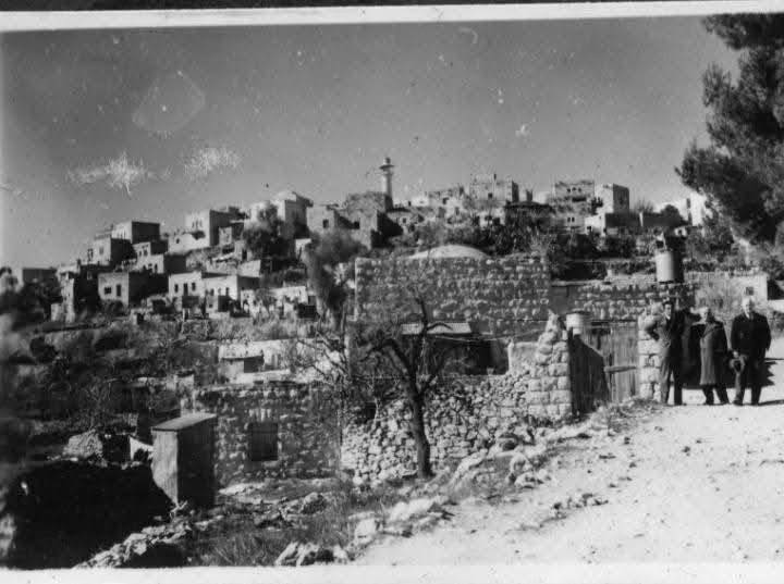 صورة لقرية المالحة - فلسطين: : Rare pictures of our village al-Maliha taken two years after the Jews replaced and dispossessed, 1950 -- مجموعة صور نادرة للمالحة..اخذت سنتين بعد إغتصابها #2