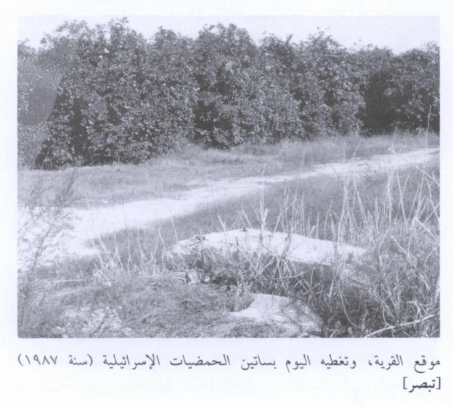 صورة لقرية [تبصر [خربة عزون - فلسطين: : منظر لموقع القرية التي دمرها الصهاينة وطهروا سكانها عرقياً والان مركز القرية حول لبيارت برتقال. 1987