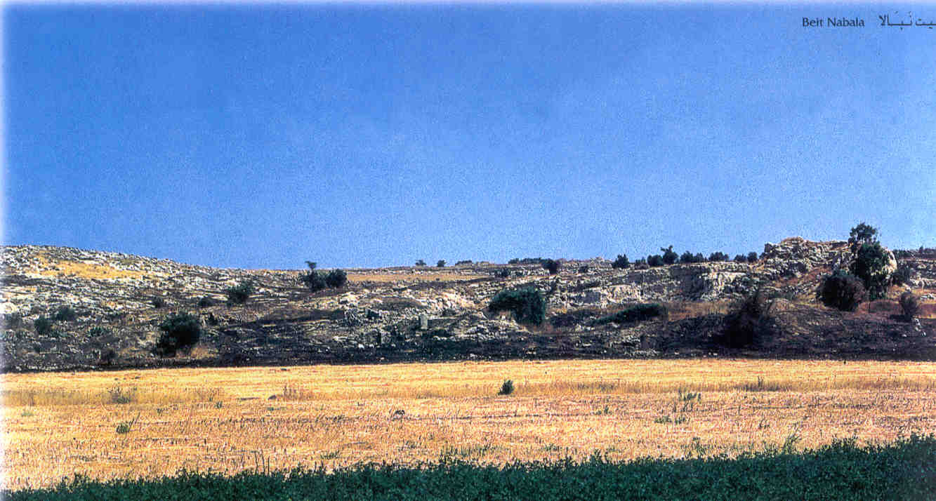 صورة لقرية بيت نبالا - فلسطين: : منظر لموقع القرية التي دمرها الصهاينة وطهروا سكانها عرقيا.