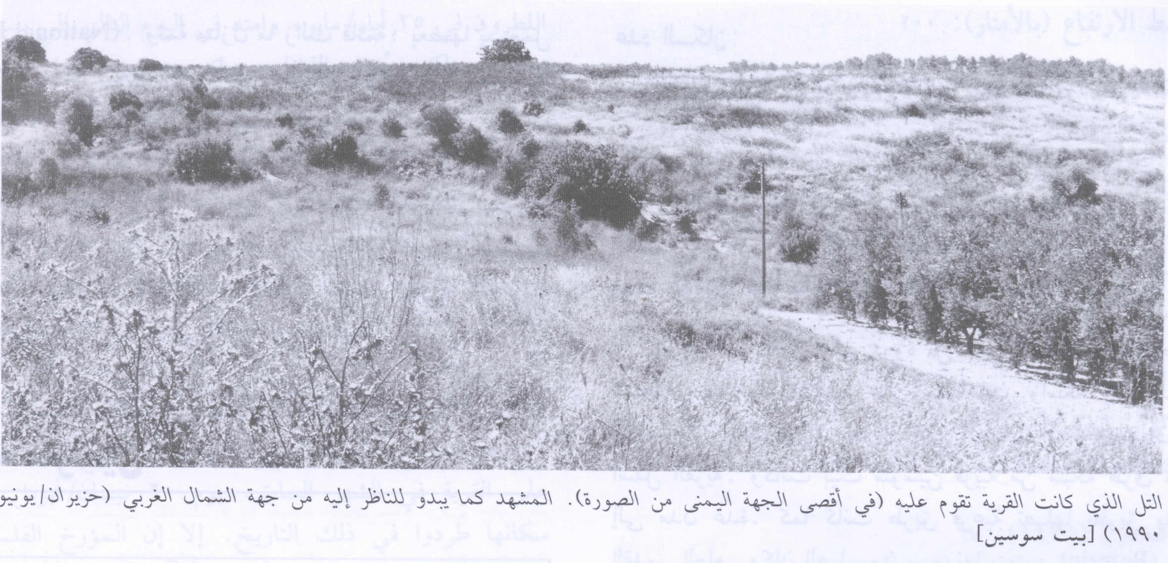 صورة لقرية بيت سوسين - فلسطين: : التلة التي كانت عليها القرية في أقصى يمين الصورة. المشهد كما يبدو للناظر اليه من جهة الشمال الغربي، اُنقر الصورة لتكبيرها. 1990