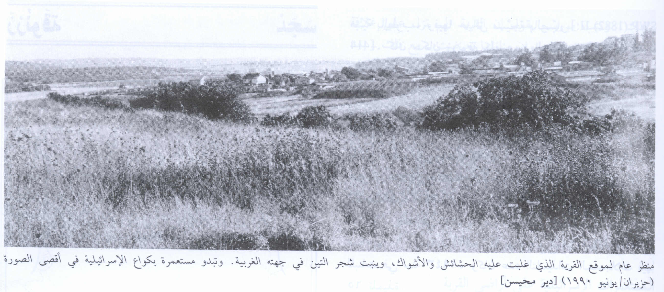 صورة لقرية دير محيسن - فلسطين: : منظر للجهة الغربية للقرية التي دمرها الصهاينة وطهرواسكانها عرقيا، اُنقر الصورة لتكبيرها. 1990