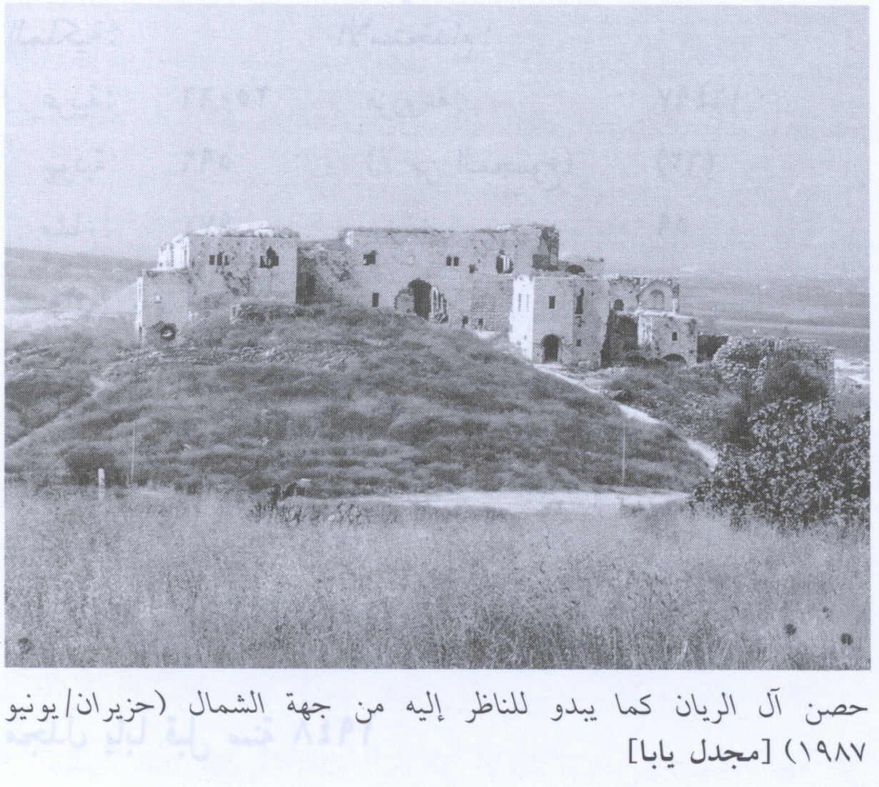 صورة لقرية مجدل يابا (الصادق) - فلسطين: : منظر جنوبي لقلعة عائلة الريان، 1987